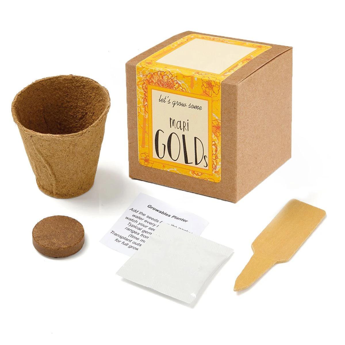 Growables Planter in Kraft Gift Box w/Seeds (Marigold)