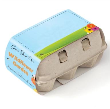 Grow Your Own Wildflower Garden Kit w/Seeds