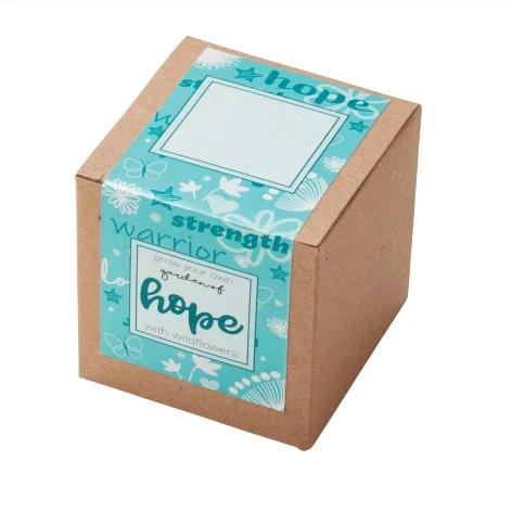 Garden of Hope Planter in Kraft Gift Box (Teal Blue)