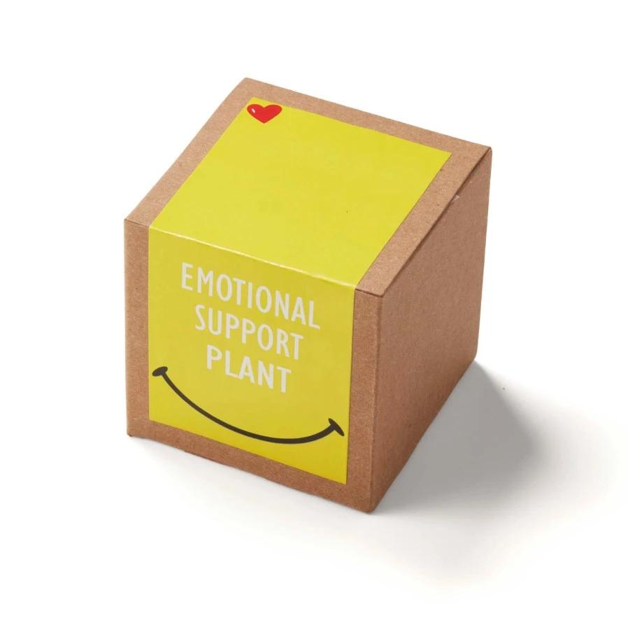 Inspirational Emotional Support Planter in Kraft Gift Box