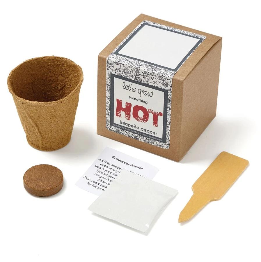 Growables Planter in Kraft Gift Box w/Seeds (Jalapeno Peppers)