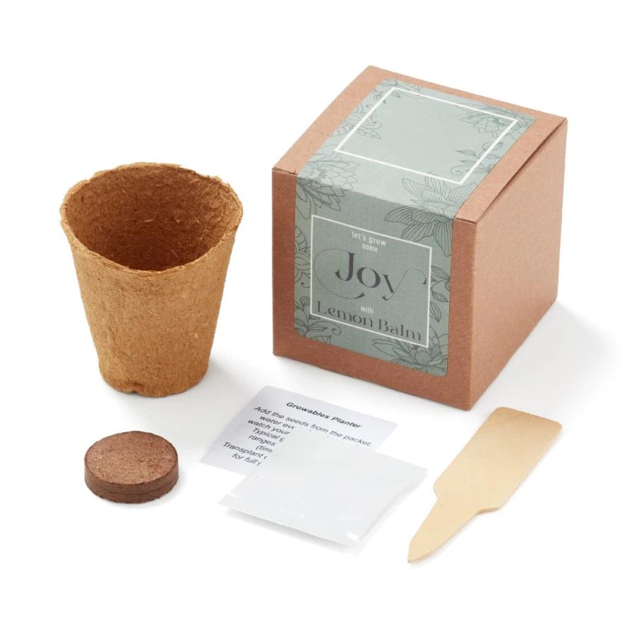 Grow Some Joy Planter In Gift Box