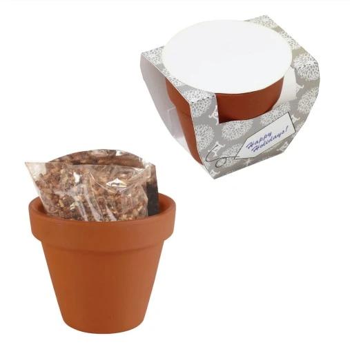 Seed Sensations Terracotta Pot w/Holiday Wrapper