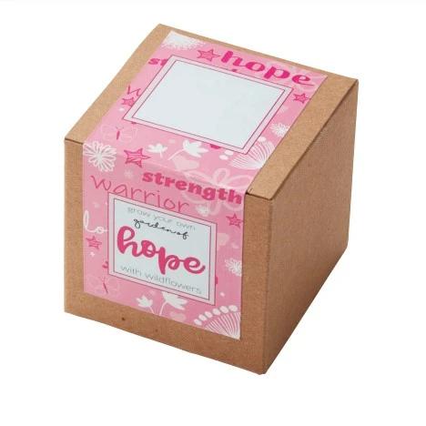 Garden of Hope Planter in Kraft Gift Box (Pink)