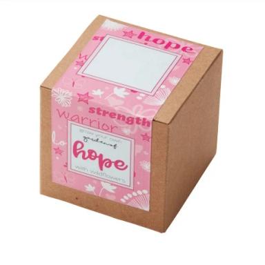 Garden of Hope Planter in Kraft Gift Box (Pink)