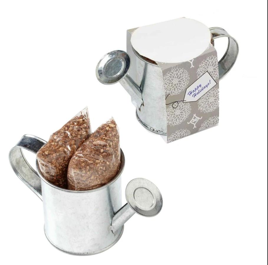 Seed Sensations Watering Can Planter w/Holiday Wrapper