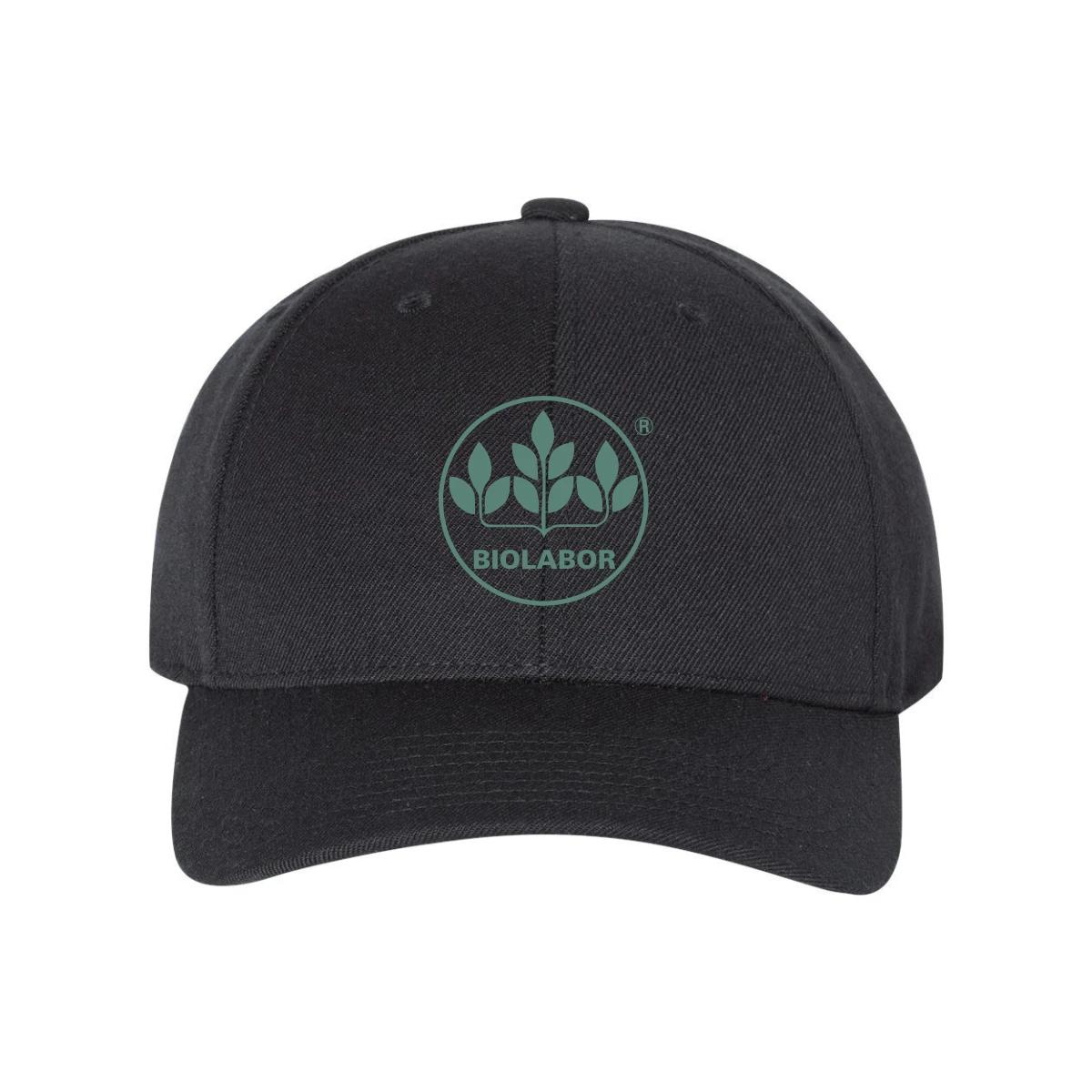 Premium Curved Bill Snapback Cap