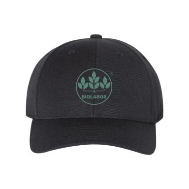 Premium Curved Bill Snapback Cap