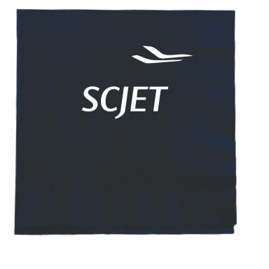 Navy Blue 3 Ply Luncheon Napkins