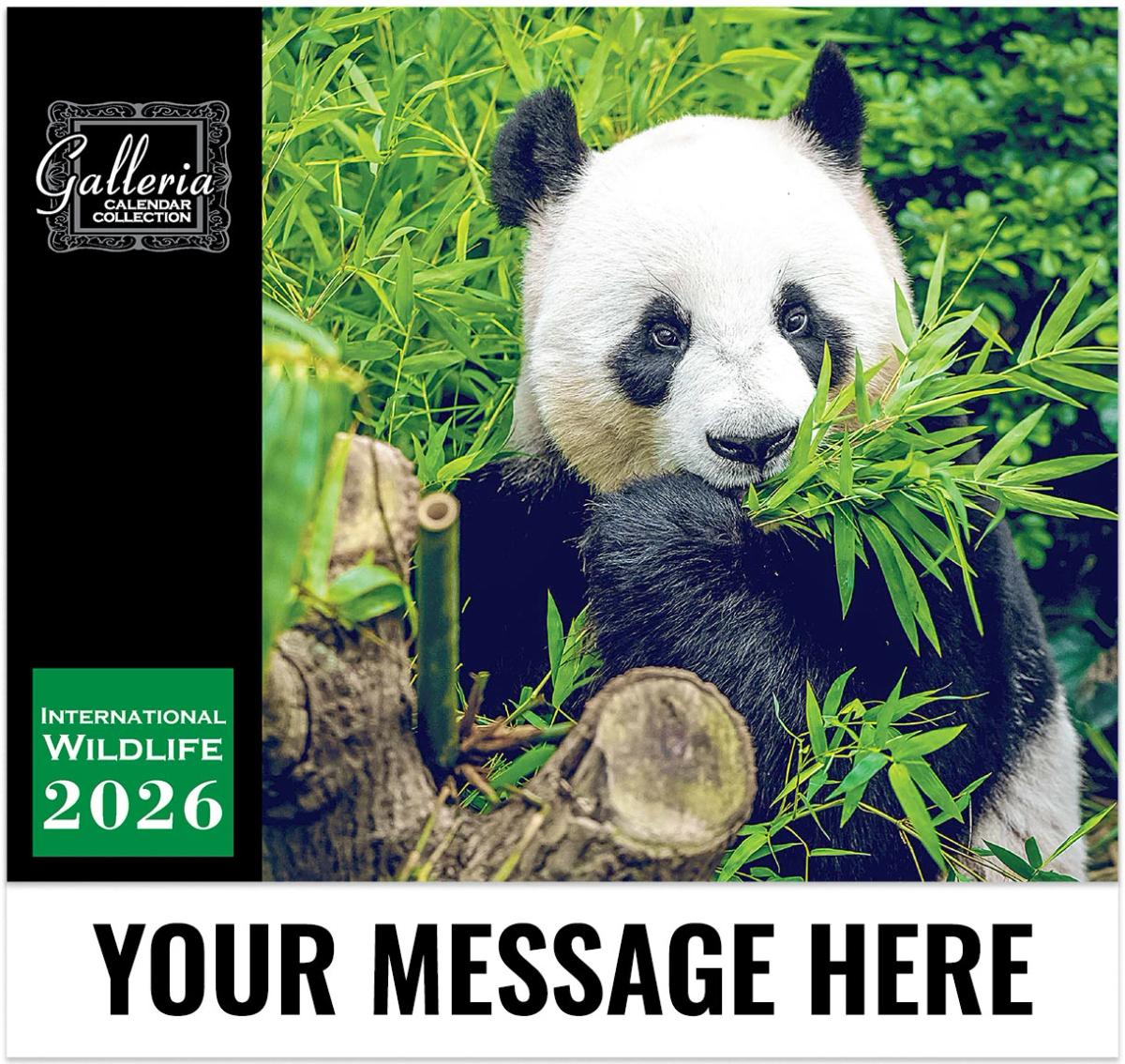 Galleria Wall 2026 International Wildlife