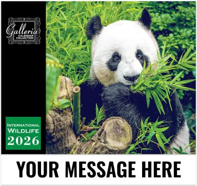 Galleria Wall 2026 International Wildlife