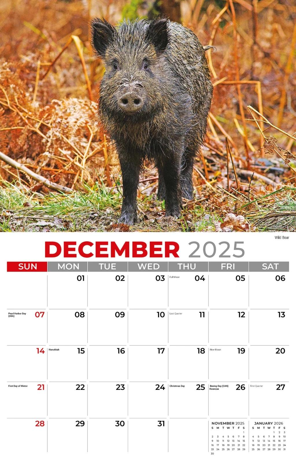 Galleria Wall 2026 International Wildlife