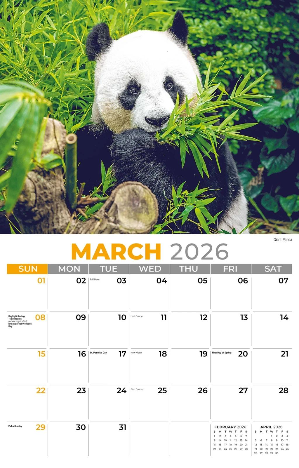Galleria Wall 2026 International Wildlife