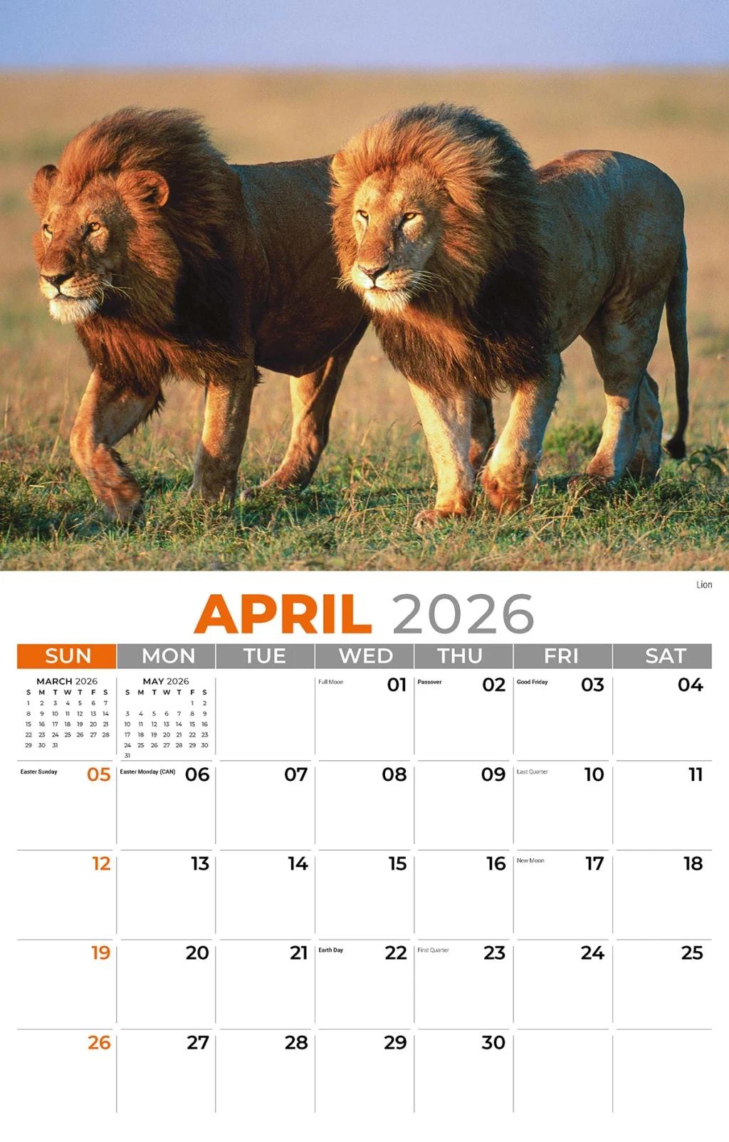 Galleria Wall 2026 International Wildlife