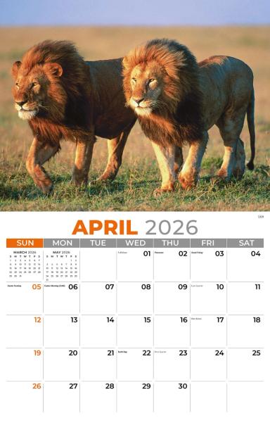 Galleria Wall 2026 International Wildlife