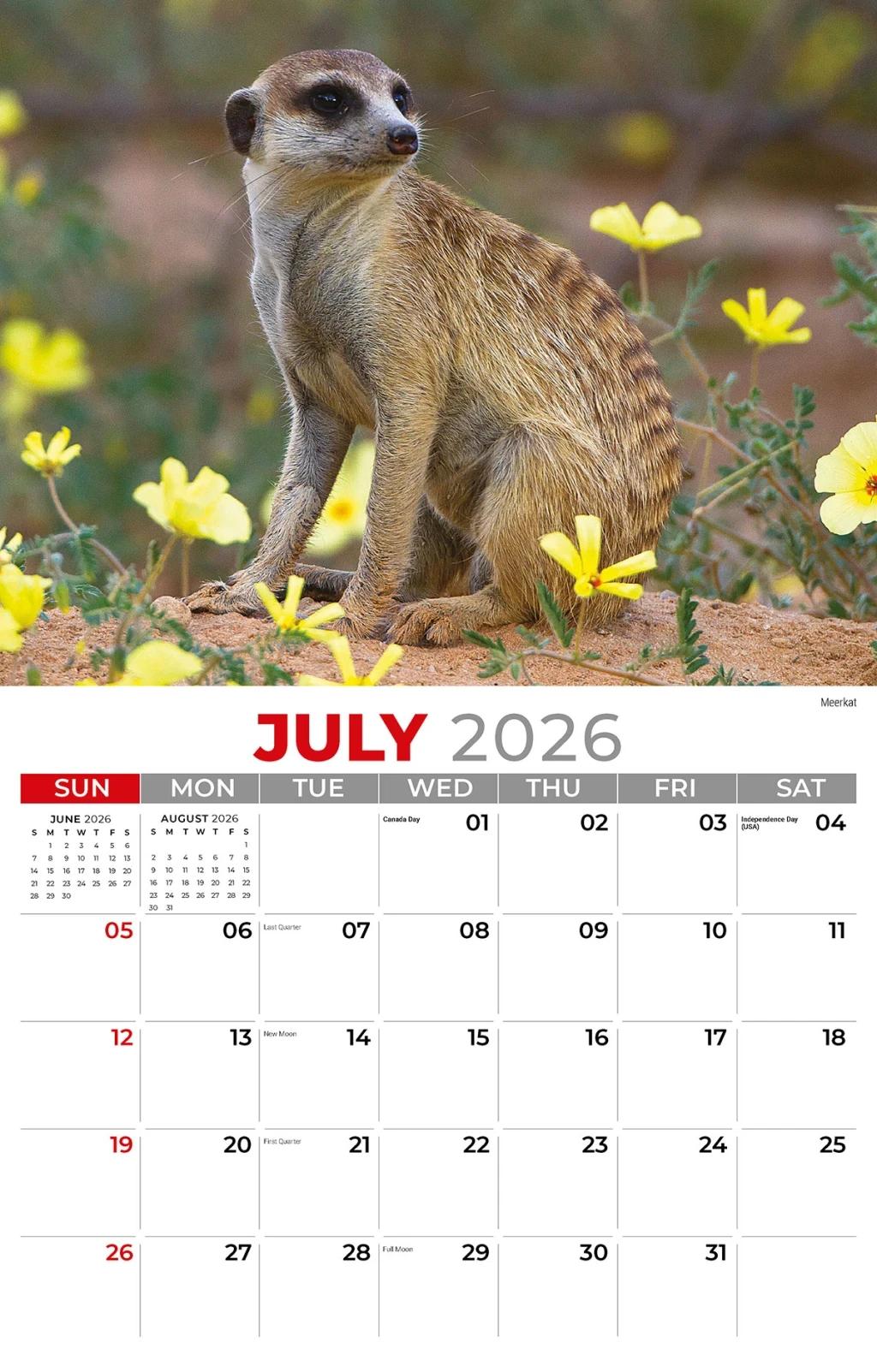 Galleria Wall 2026 International Wildlife