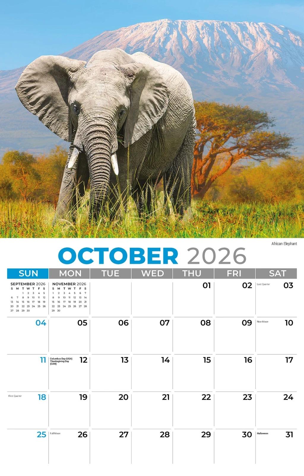 Galleria Wall 2026 International Wildlife