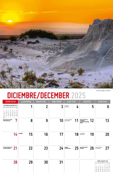 Galleria Wall Calendar 2026 Scenes Of Mexico (Spanish/English)