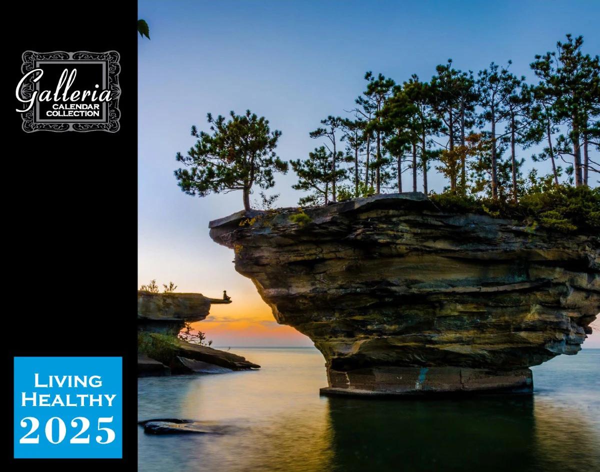 Galleria Wall Calendar 2026 Living Healthy