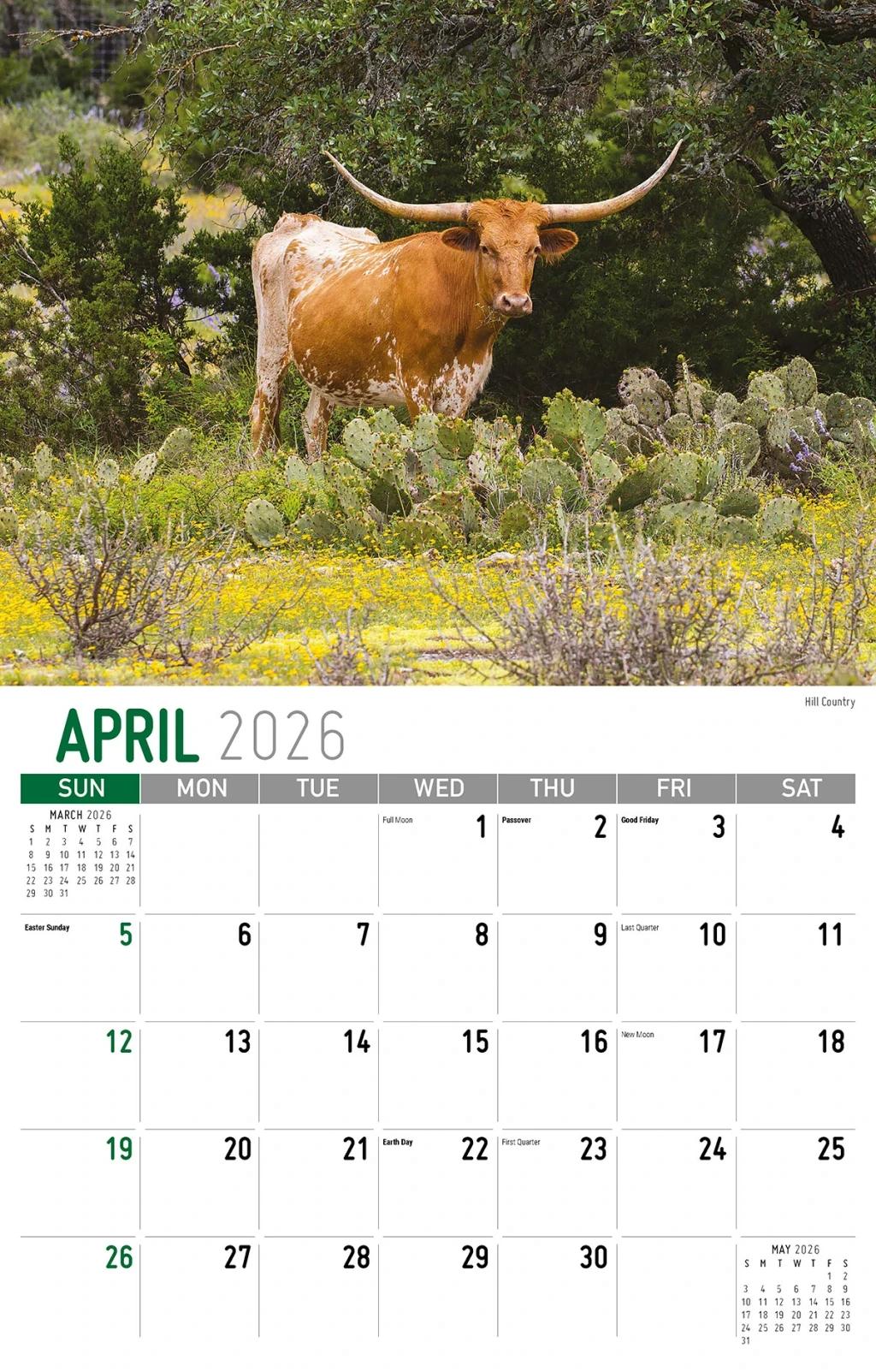 Galleria Wall Calendar 2026 Living Healthy