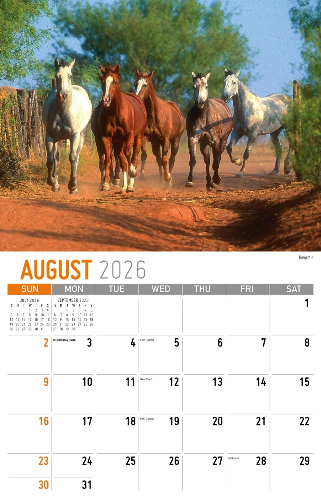 Galleria Wall Calendar 2026 Living Healthy