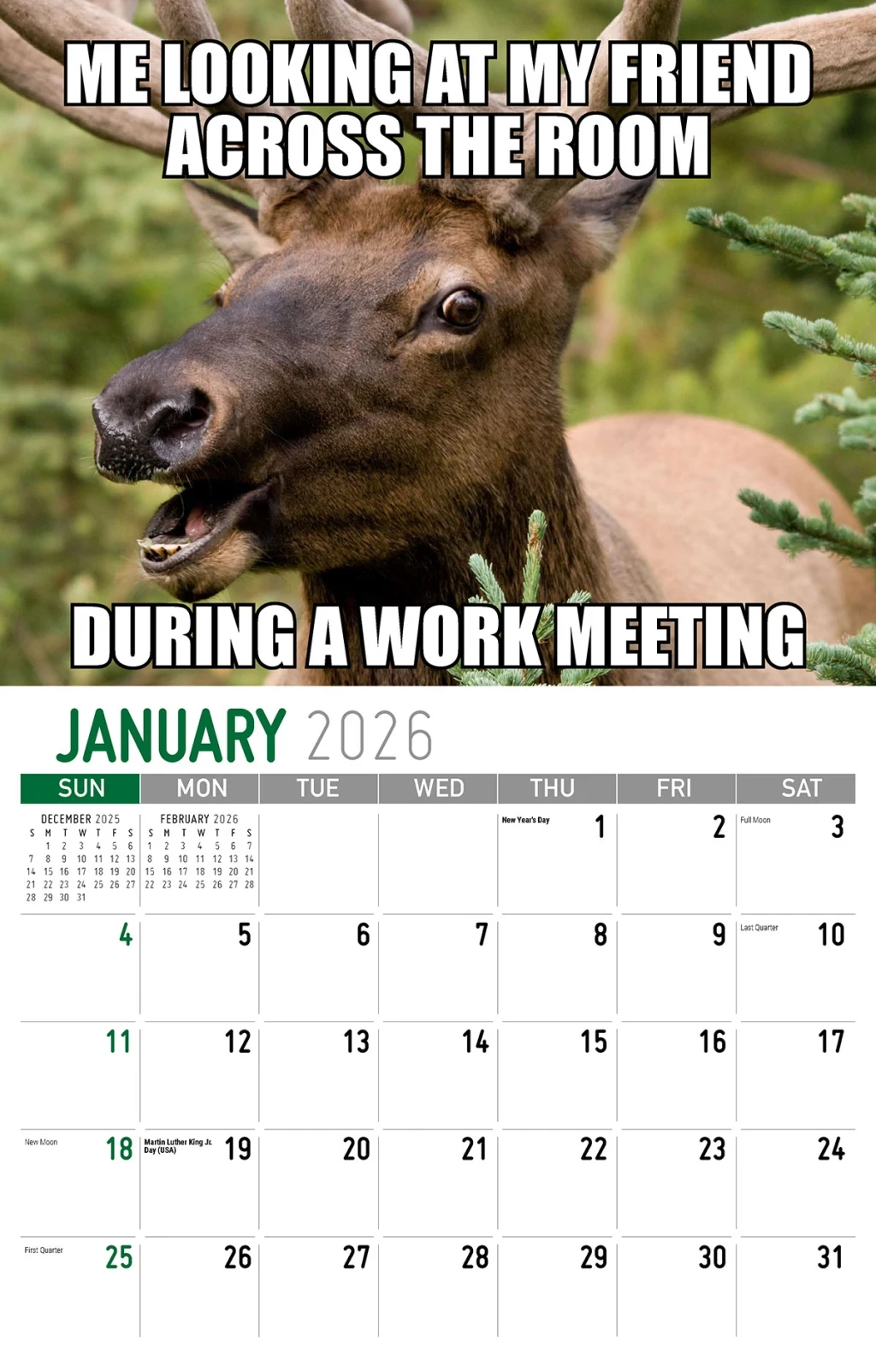 Galleria Wall Calendar The Memeing Of Life