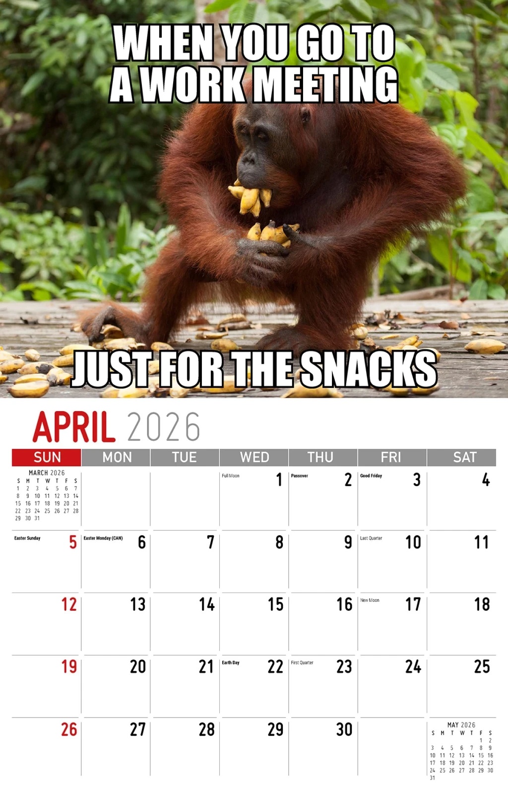 Galleria Wall Calendar The Memeing Of Life