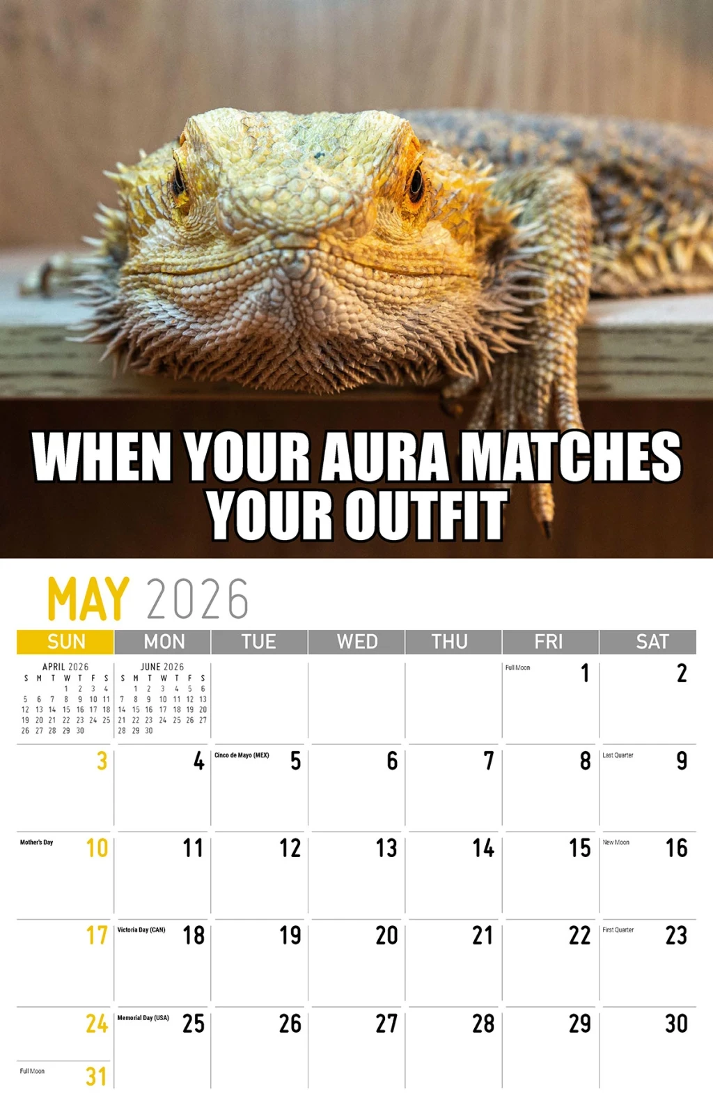 Galleria Wall Calendar The Memeing Of Life