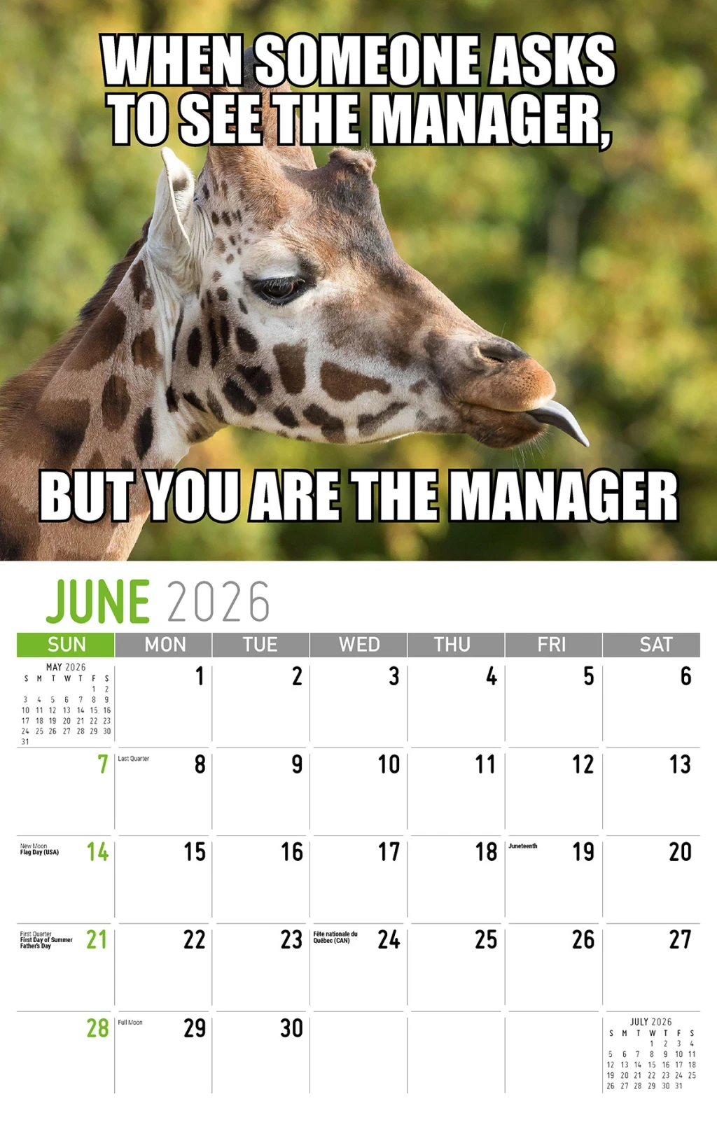 Galleria Wall Calendar The Memeing Of Life