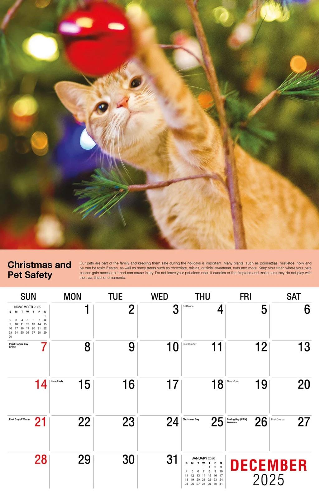 Galleria Wall Calendar 2026 Health Tips