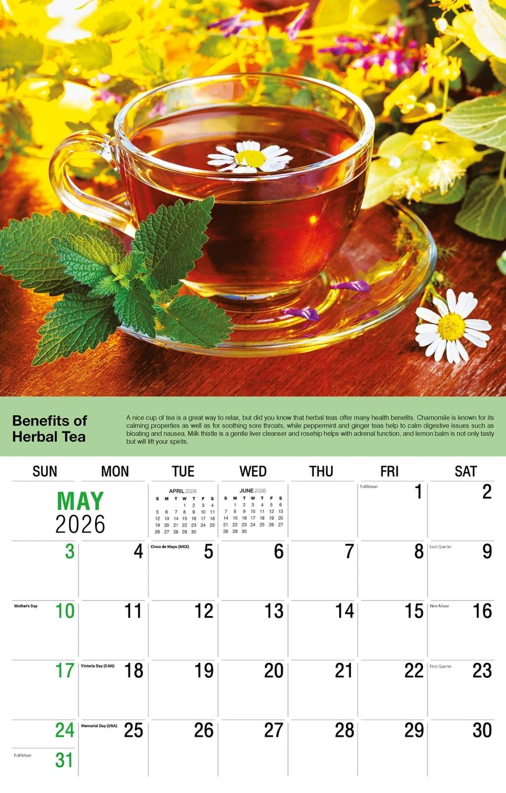 Galleria Wall Calendar 2026 Health Tips
