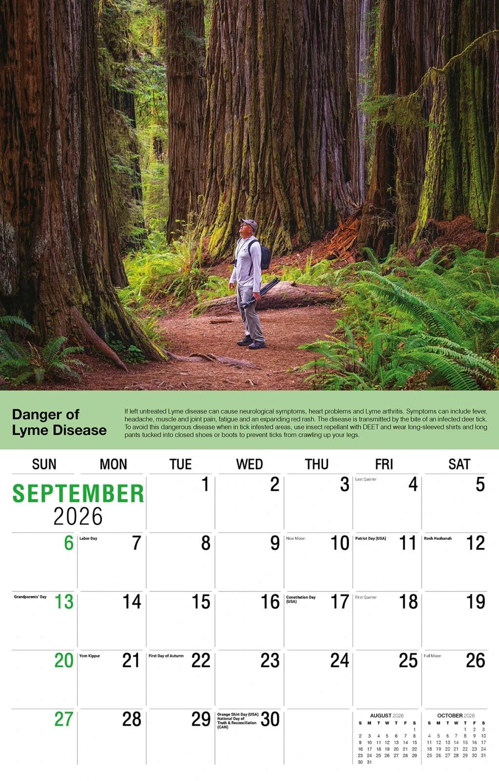 Galleria Wall Calendar 2026 Health Tips