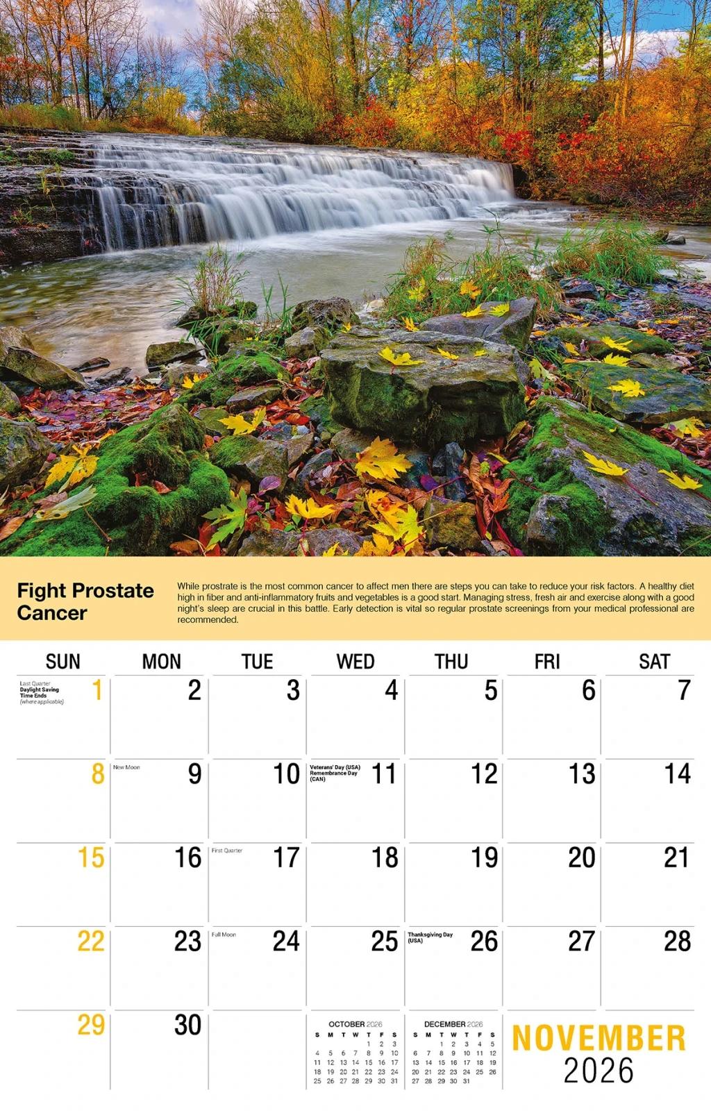 Galleria Wall Calendar 2026 Health Tips