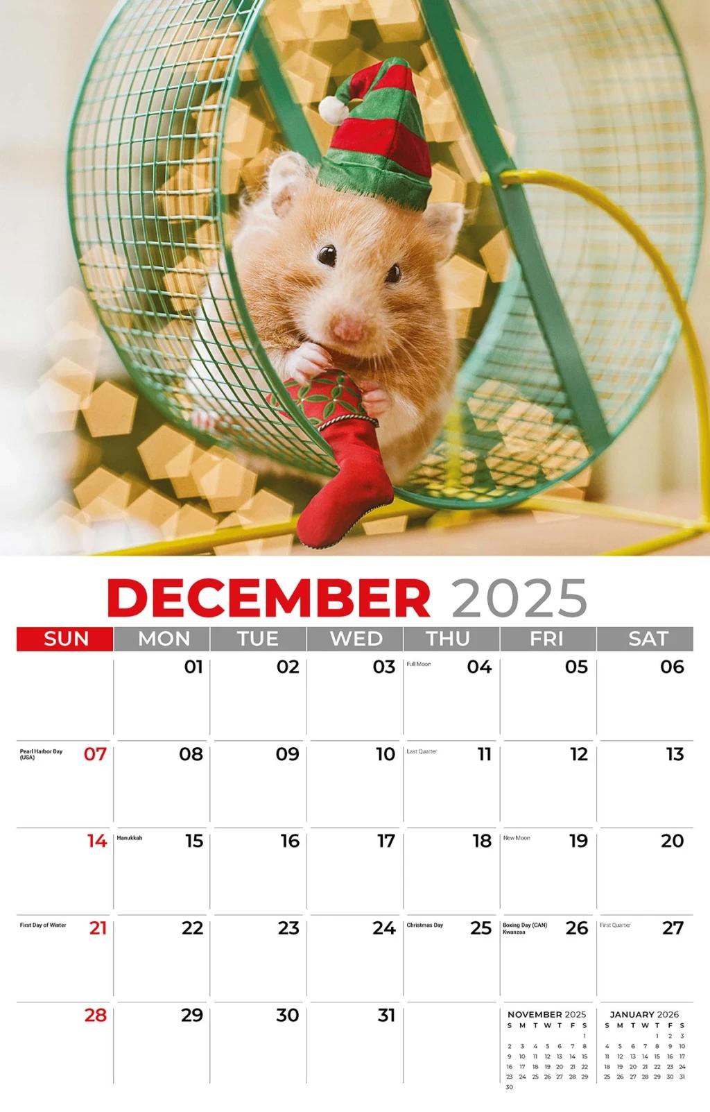 Galleria Wall Calendar 2026 Pets