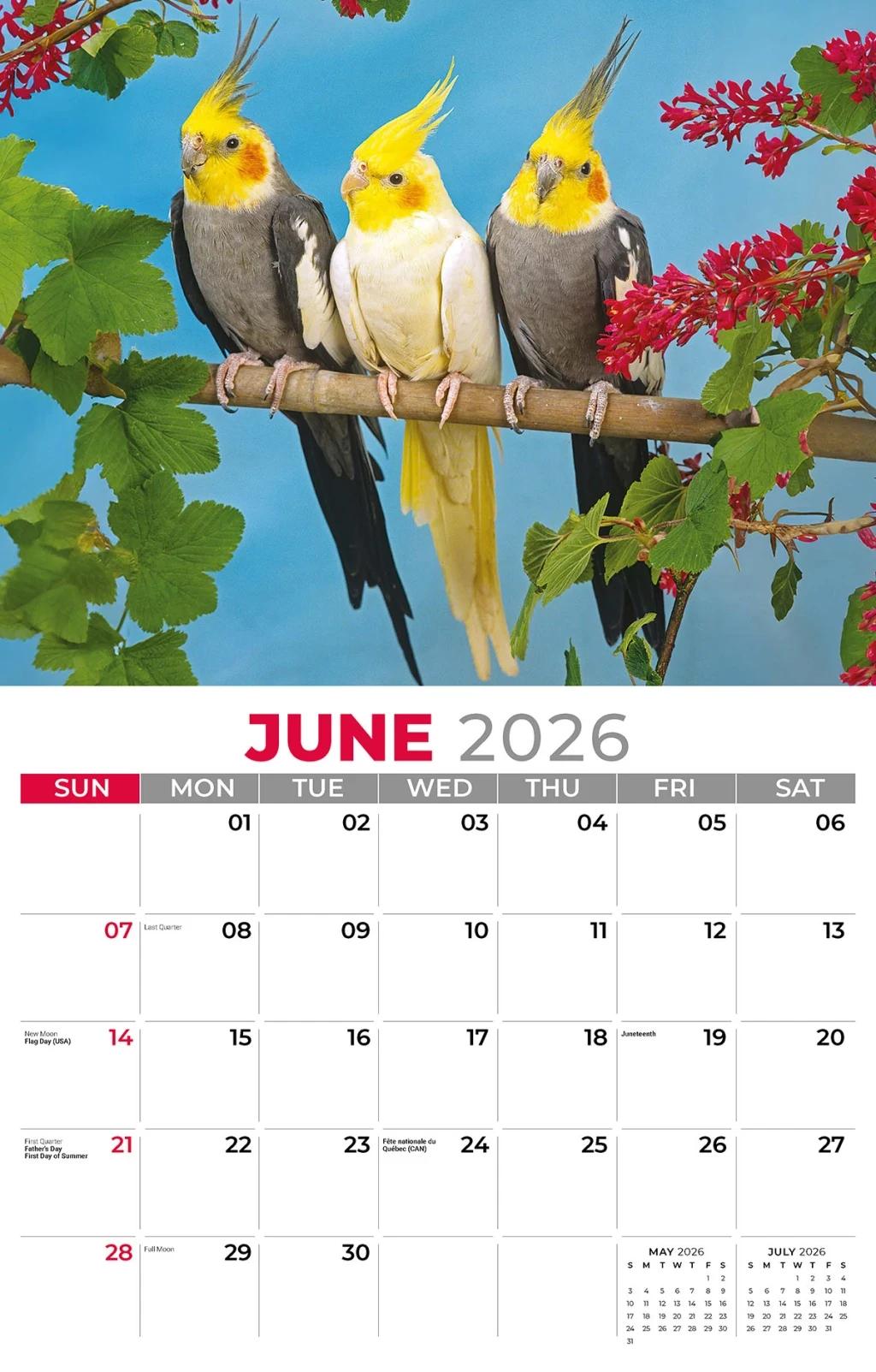 Galleria Wall Calendar 2026 Pets