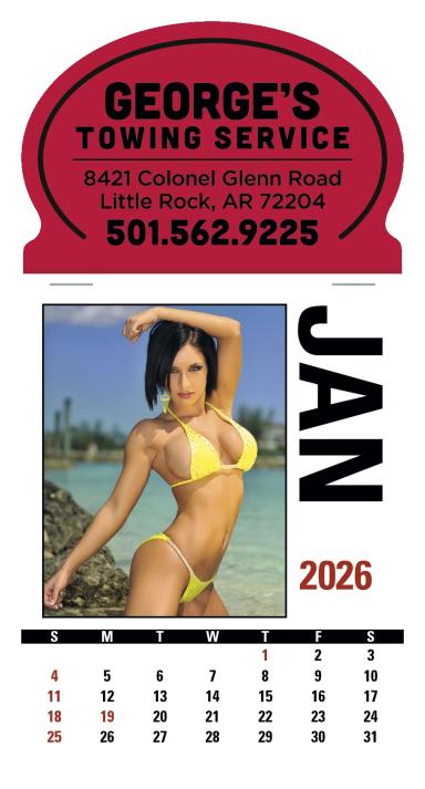 Triumph® Calendars Press-N-Stick Sunshine Girls Calendar