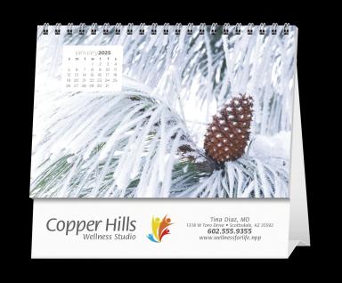 Simplicity Large Desk Calendar