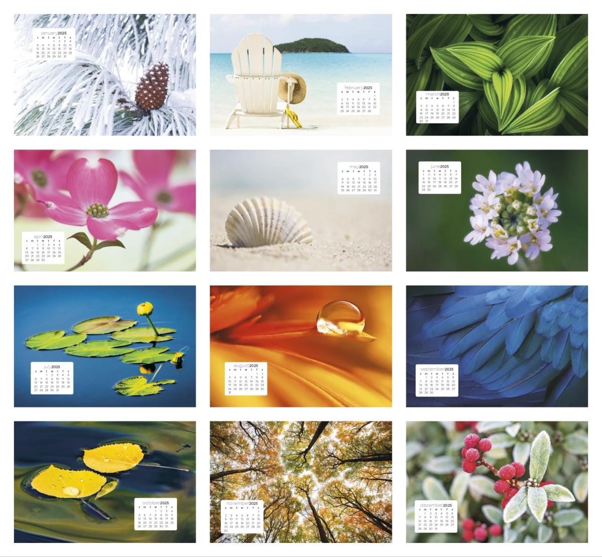 Simplicity Large Desk Calendar