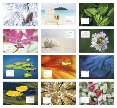 Simplicity Large Desk Calendar