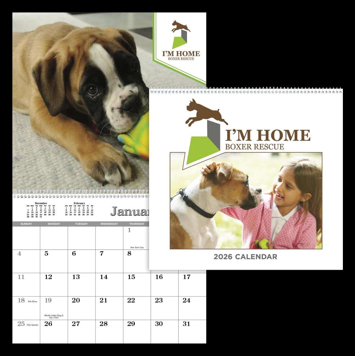 Custom Single Image Appointment