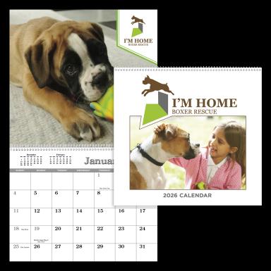 Custom Single Image Appointment