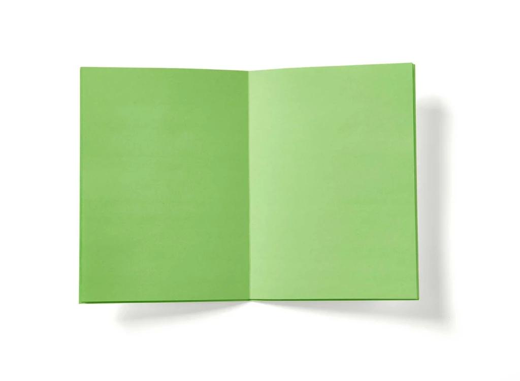White/Neon Green