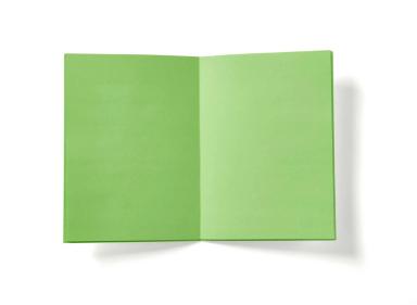 White/Neon Green