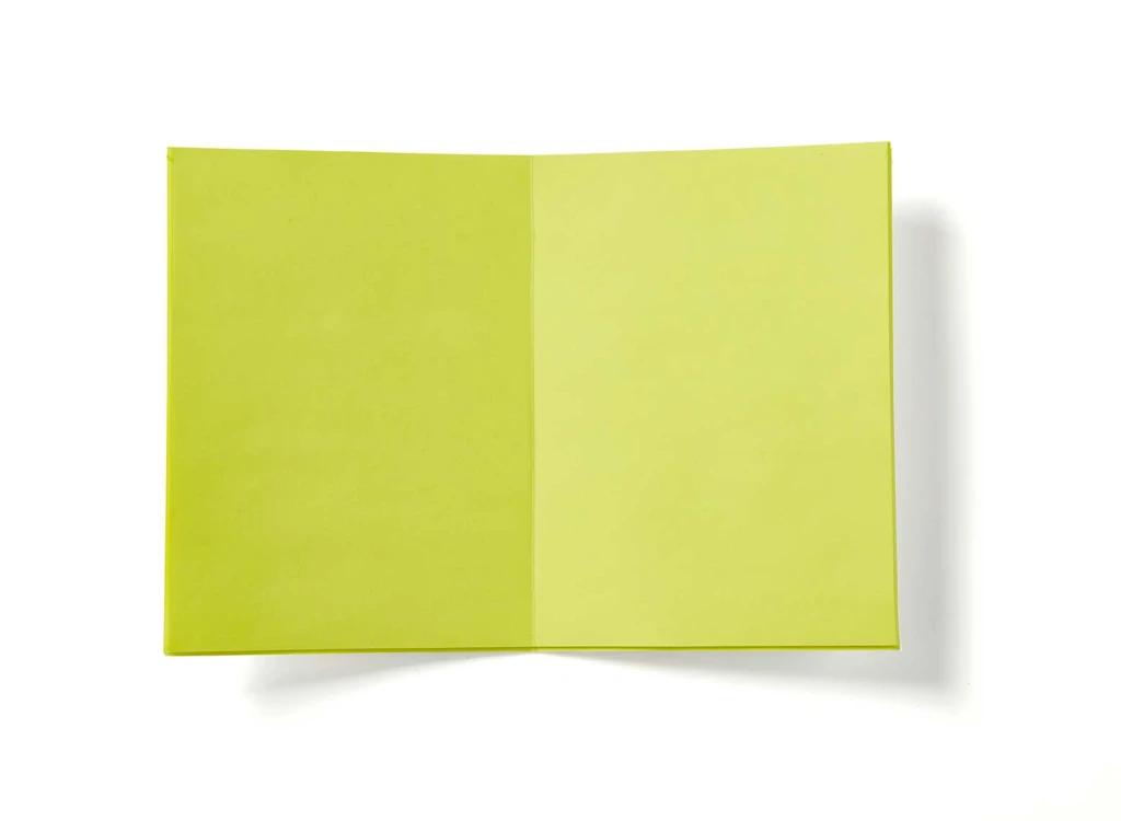White/Neon Yellow