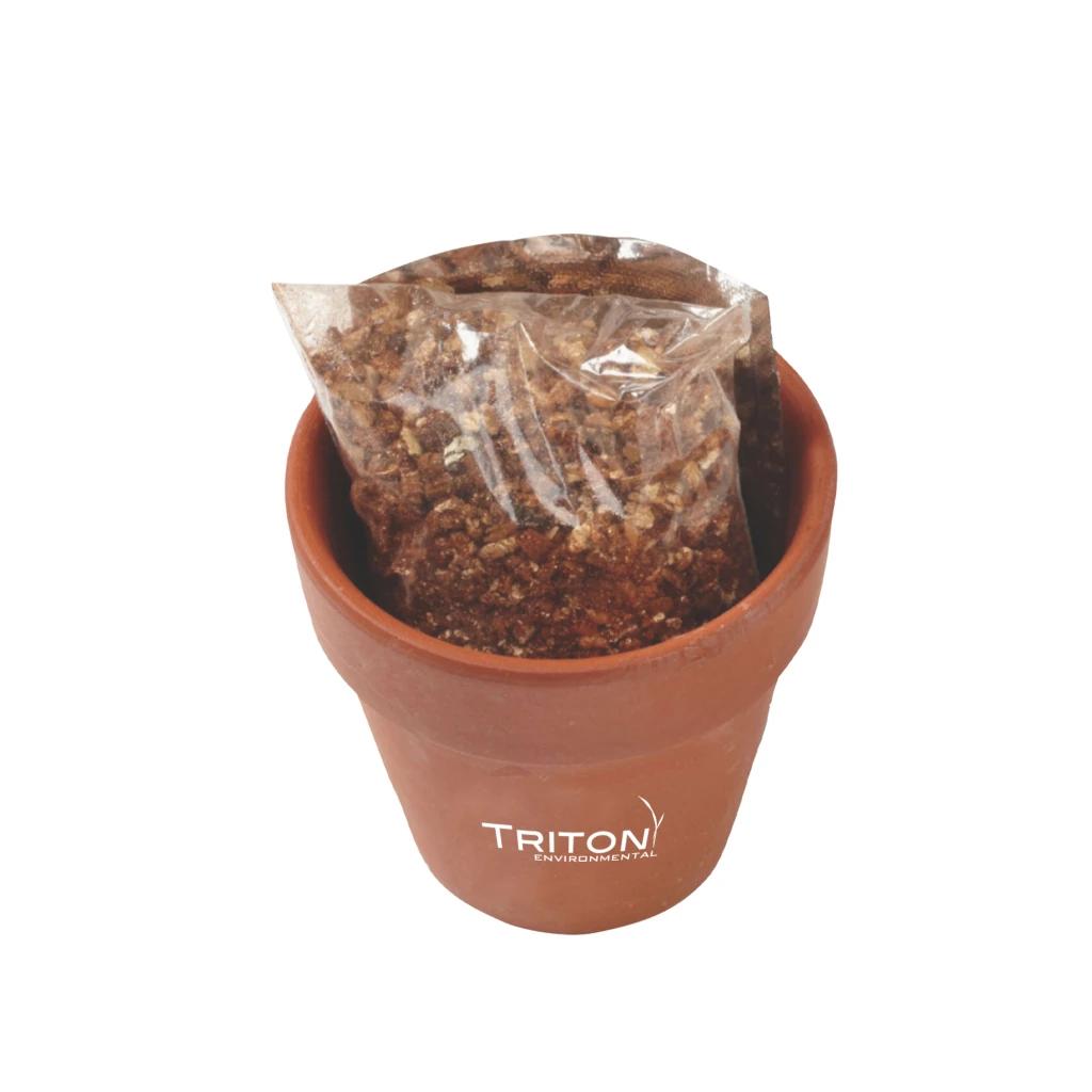Terracotta Brown