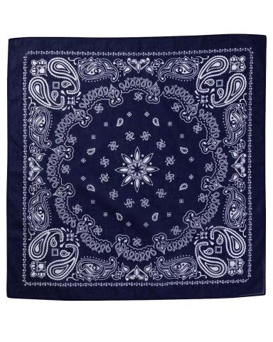 Navy Paisley