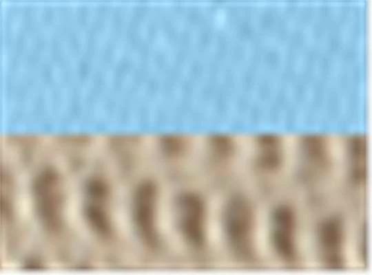 Baby Blue/ Tan