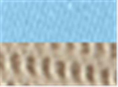 Baby Blue/ Tan