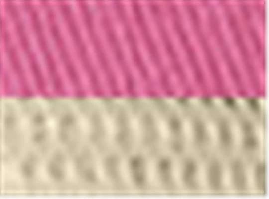 Neon Pink/ Tan
