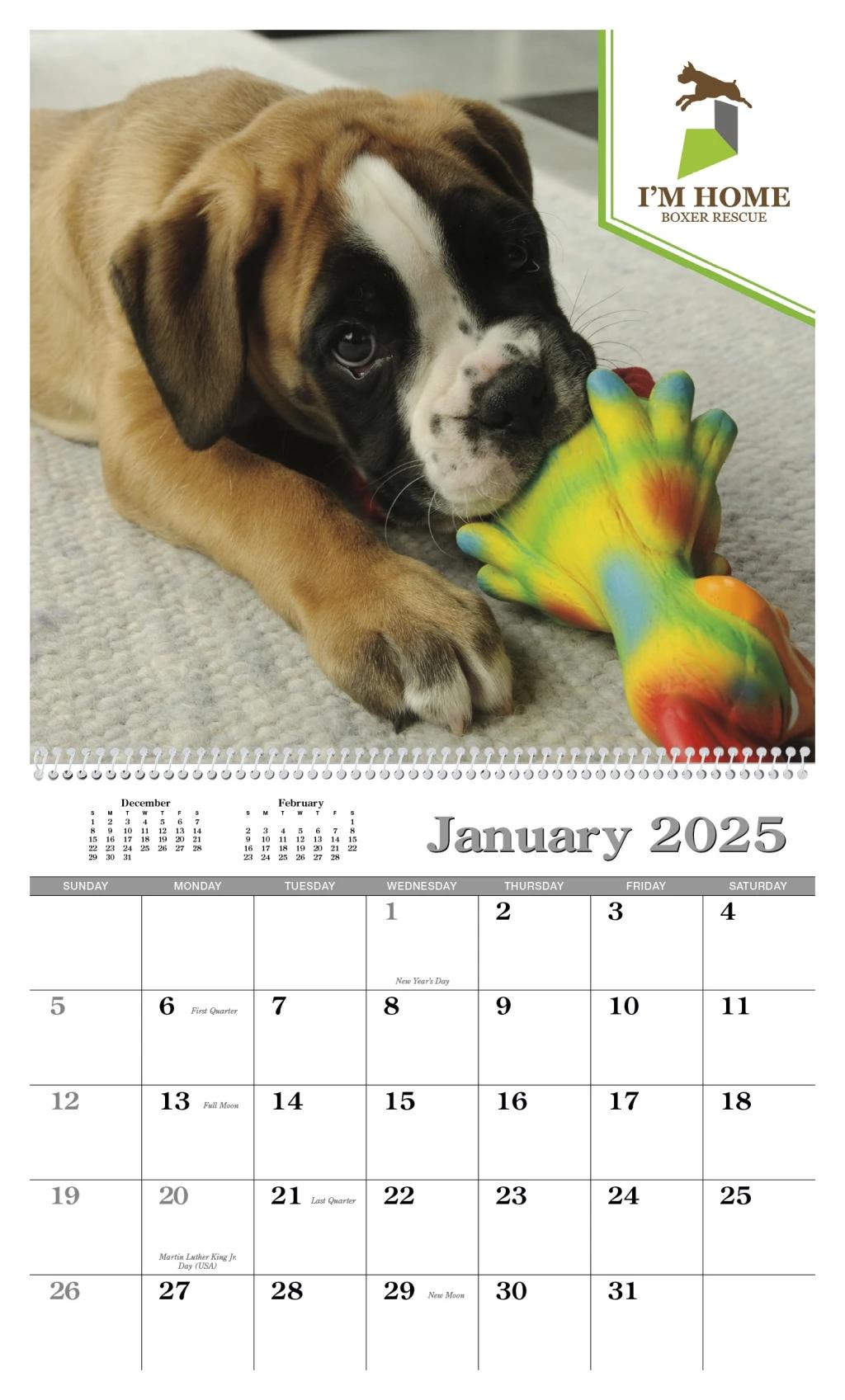 Custom Single Image Appointment 541_25_3.png